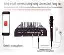 V8-Live Sound Card, USB External V8 Karaoke Recording Mobile Audio Mixer, Audio Live Broadcast KTV Sound Card for Live Broadcast, K Songs, Recording, Voice Chatting