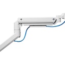 Silver Stone Single Monitor Arm With Heavy Duty Gas Spring Design And Versatile Adjustability (17'' to 49'') - White