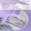ATTACK SHARK X85Pro 75% Tri-Mode Gasket Mechanical Keyboard Blueberry Switch Linear - Lavender