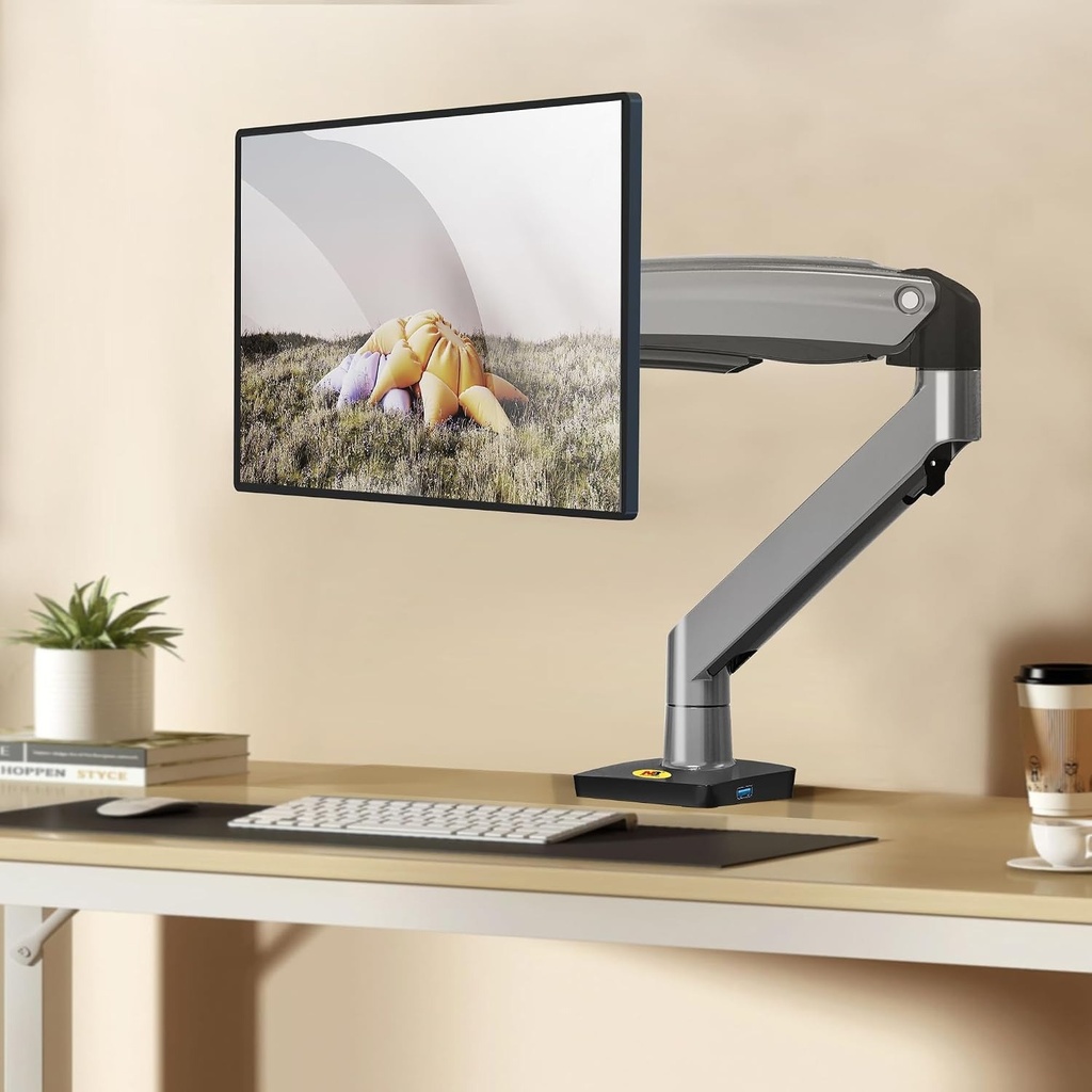 NB North Bayou , For Most 22-35 Inch Computer Monitors / TV, Adjustable Tilting, Rotating, Weight Up to 19.8lbs, Black F100A