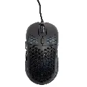 13_1r1g-lz.webp