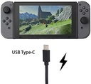 IV-SW035 1.8m USB Type-C Charging Cable For Nintend Switch Date Cable For N-Switch Charging Cable 