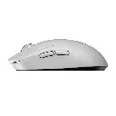 509920610455612.webp
