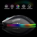 J900 Gaming Mouse, Lightweight Honeycomb Wired Mouse with 6-Level Adjustable DPI & RGB Breathing Light for Desktop Laptop (Black)