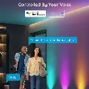 7002356.webp