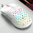 G14075_1.webp