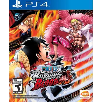 [BBP0U] Burning Blood -  PlayStation 4 (Used)