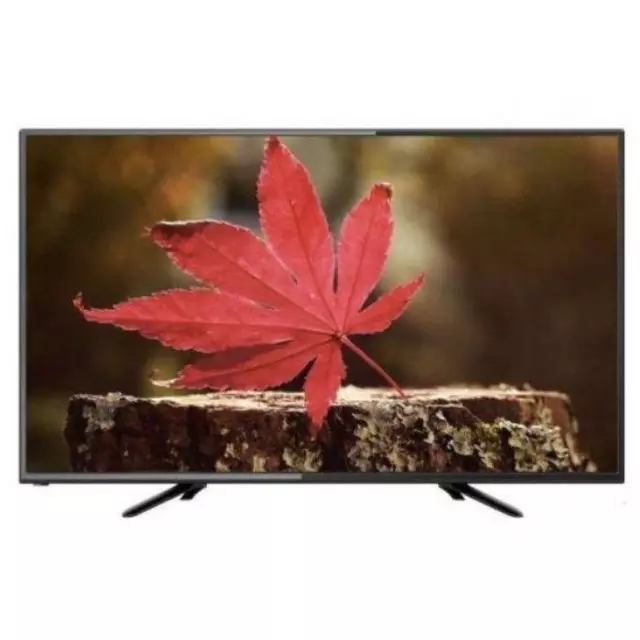 Wansa 24 inch HD LED TV - WLE24G7762