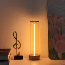 Modern Cordless Bedside Lamp, Rechargeable Touch-Controlled Dimmable Table Light with 3 Levels, Metal Base, USB Powered for Office, Living Room, Kitchen, Bedroom - Silvery, Modern Style, Fantasy Theme 