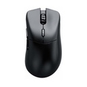 Glorious Model D 2 PRO 4K/8K Hz 2.4GHz Edition Wireless Gaming Mouse (62g) - Black