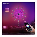 Twisted Minds RGB Fire Work LED Music Light