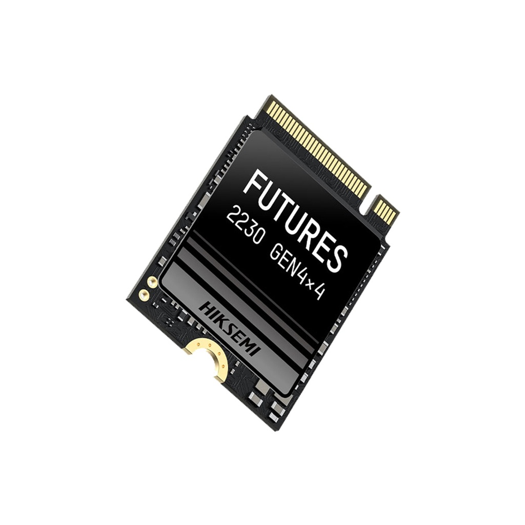 Hikvision Future NVMe M.2 2230 2TB (2048GB) Gen 4x4 Upto 7400MB/s Read (Without Heatsink)
