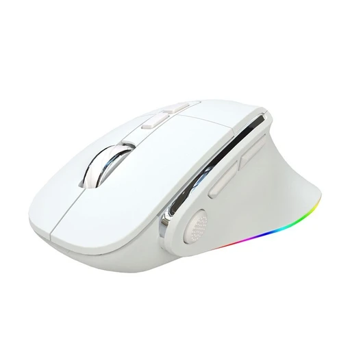 SKYLIONE H5 Wired and Wireless RGB Gaming Mouse - White